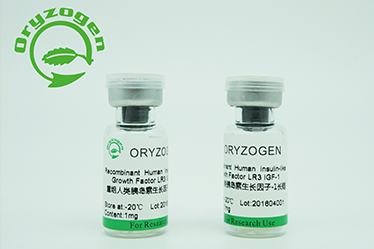 Recombinant Human Serum Albumin